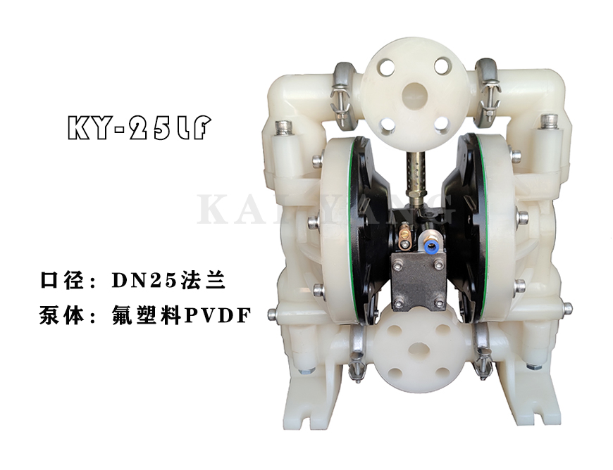 氟塑料气动隔膜泵2