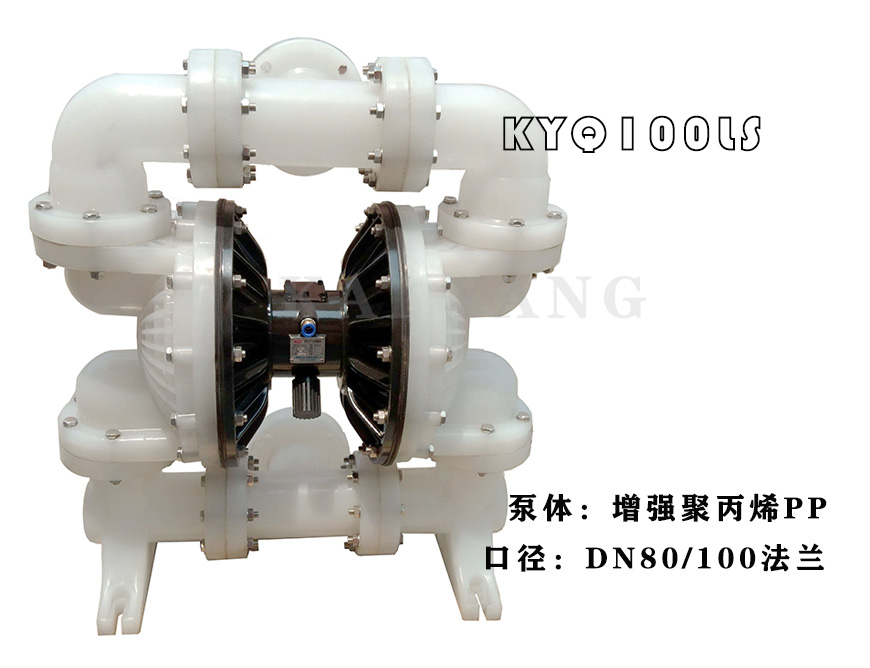 经济型塑料气动双隔膜泵3